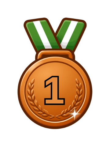 1° posto Bronzo