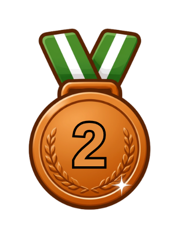 2° posto Bronzo